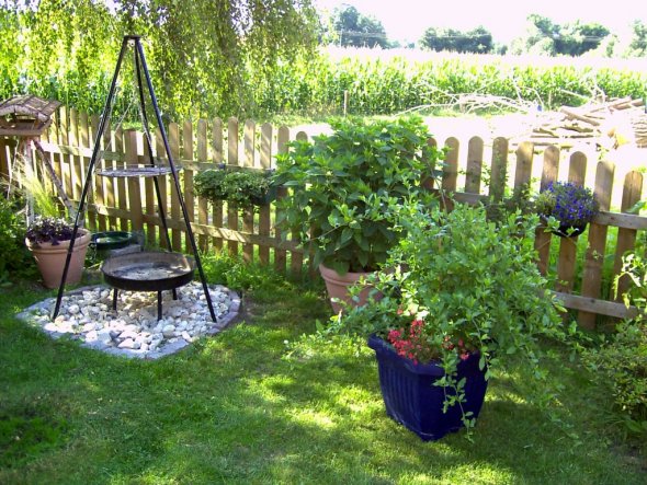 Garten 'Mein Garten'