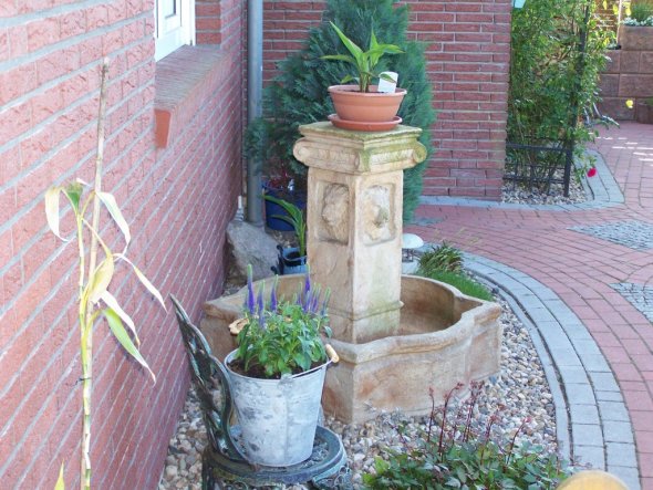 Garten 'Unser Garten 2009'