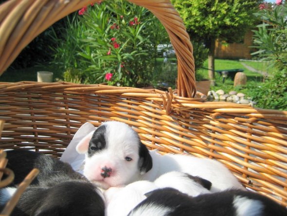 Unser erster Ausflug in den Garten :)))