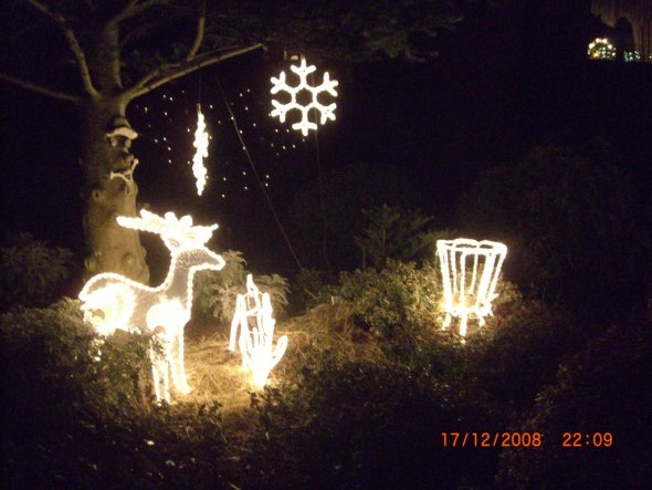 Garten 'Weihnachten im Garten'