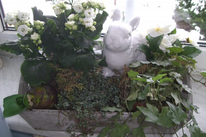 Deko 'Frühling'
