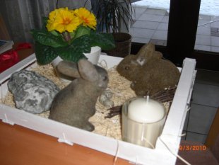 Ostern 2010