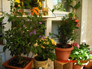 alle Räume 'Mein Raum'