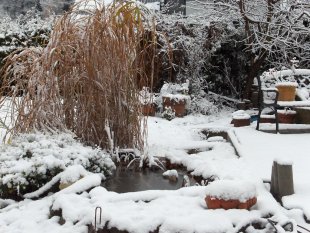 Garten im Winter