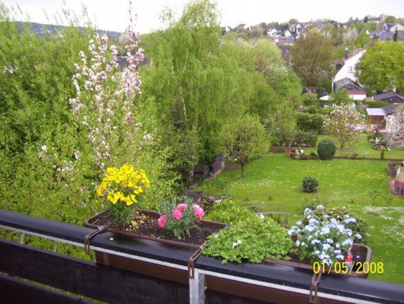 Terrasse / Balkon 'Balkon'