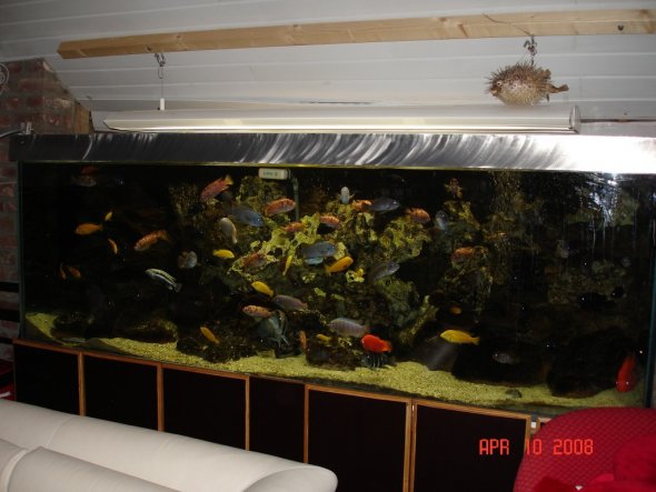 unser "kleines" Aquarium