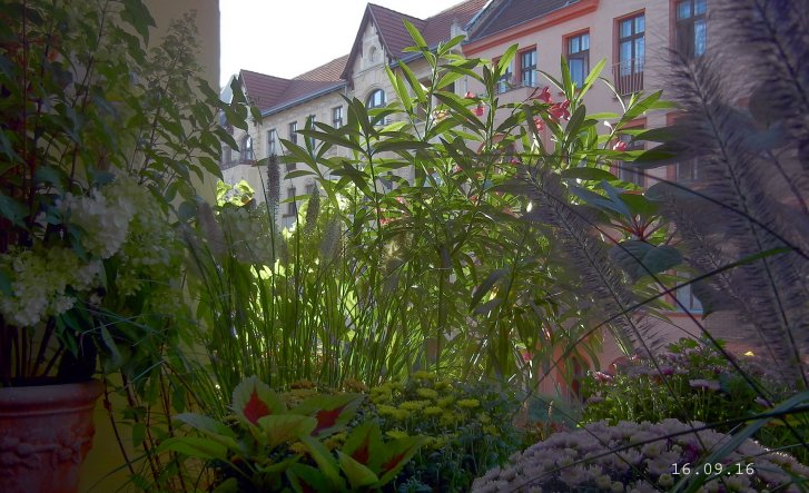 Terrasse / Balkon 'Die Loggia'