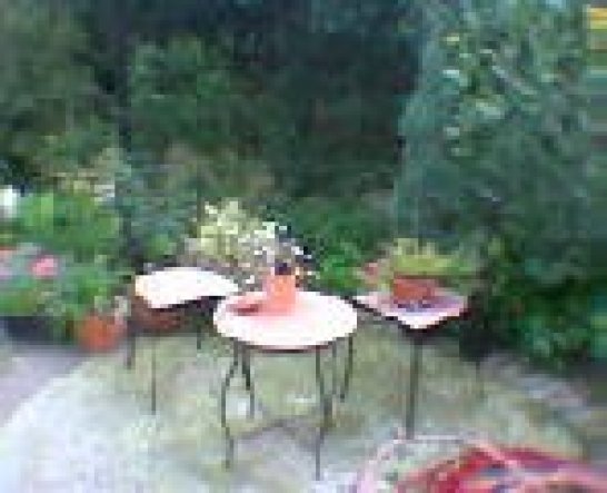 Garten 'Garten'