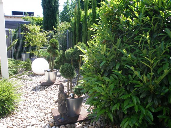 Terrasse / Balkon 'Terrasse/Garten'