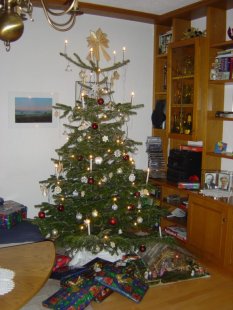 Weihnachtsdeko '24'