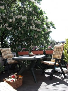Terrasse / Balkon 'Unterm Kastanienbaum'