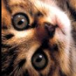 Benutzerbild von Meredi
