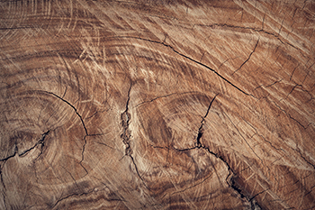 Massivholzmöbel im Wohnzimmer: Der Trend zu Couchtischen aus Holz Massivholzmöbel im Wohnzimmer: Der Trend zu Couchtischen aus Holz
